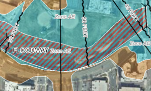 FEMA Flood Map Image