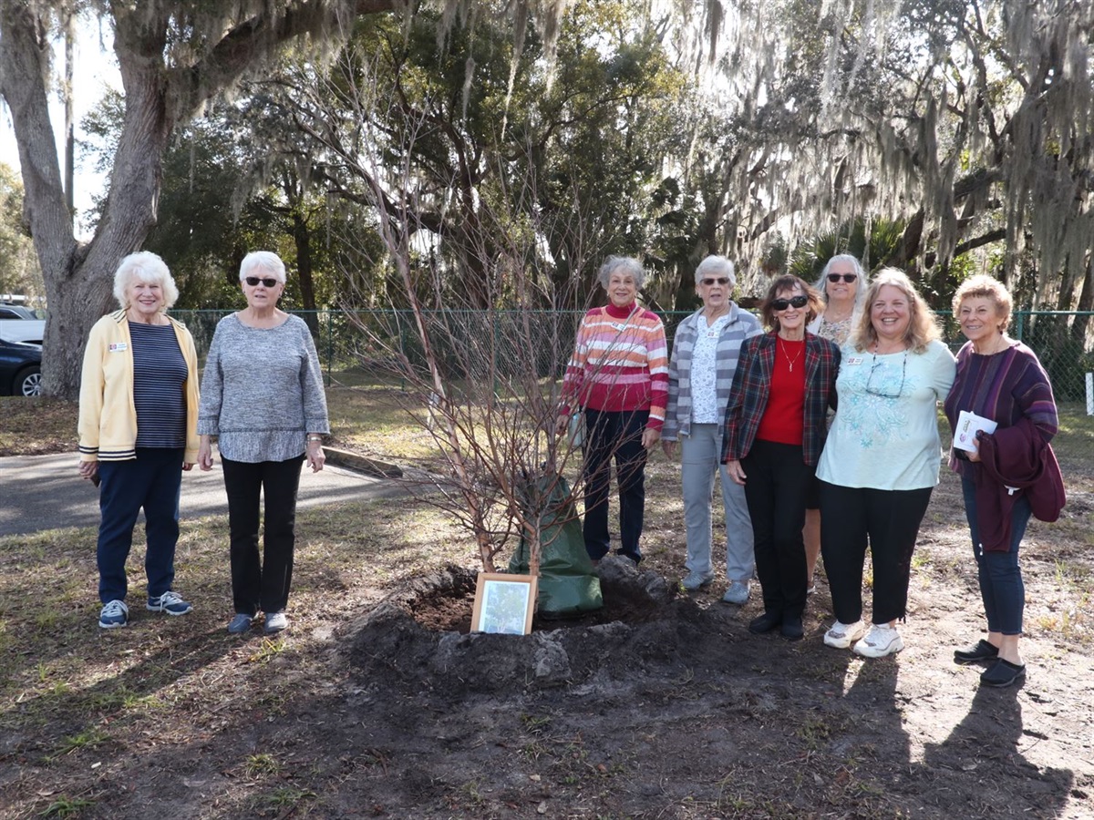 Florida Arbor Day Eustis FL