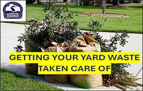 Image for announcement about how to get your yard waste taken care of 