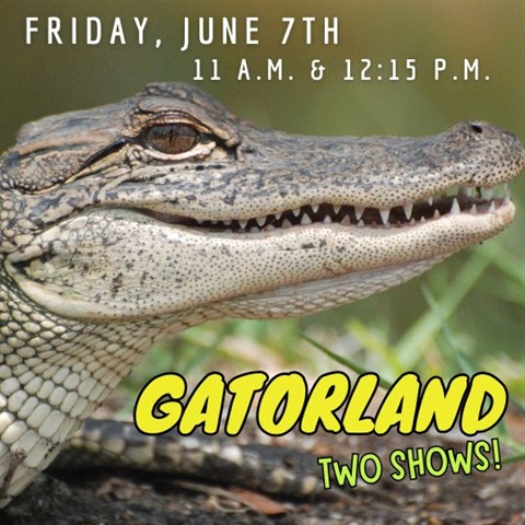 Two live Gatorland shows will be on Friday June 7th starting at 11:00 A.M. and 12:15 P.M.